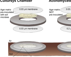 the chamber trap