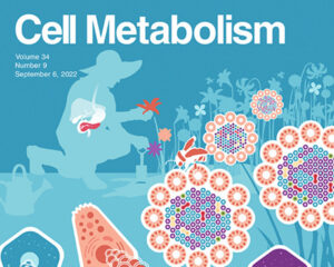cell metabolism cover – sep 2022