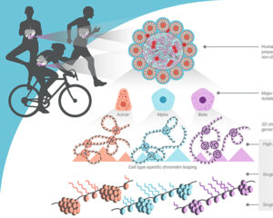 graphical abstract – sep 2022